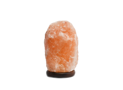 מבצע מנורת מלח -  פברואר 26