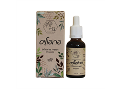 מבצע פרופוליס/פרוניצאה- דצמבר 25