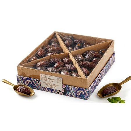 תמר מג'הול ג'מבו