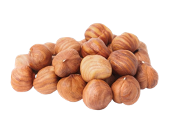 מבצע בונדוק טבעי-  ינואר 26