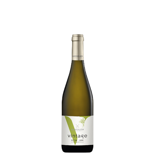 יין לבן וינטג' שרדונה 2024