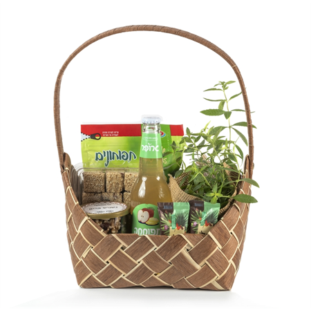 משלוח מנות - אילן