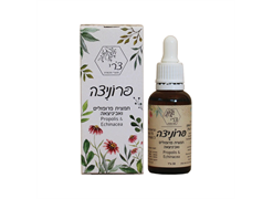 מבצע פרופוליס/פרוניצאה- דצמבר 25