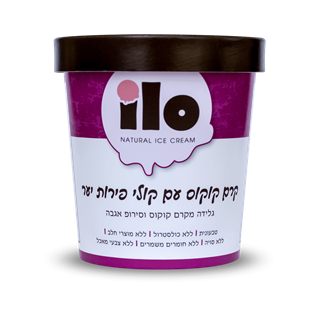 גלידה טבעונית קרם קוקוס עם פירות יער Ilo
