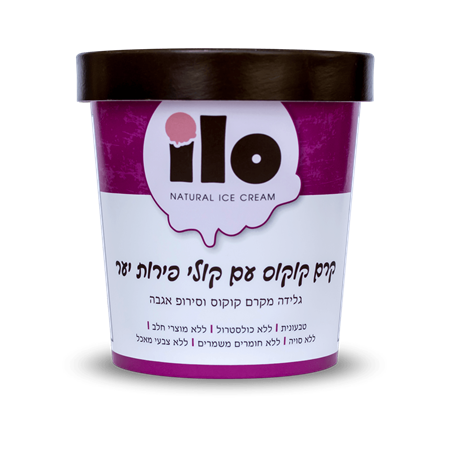 גלידה טבעונית קרם קוקוס עם פירות יער Ilo